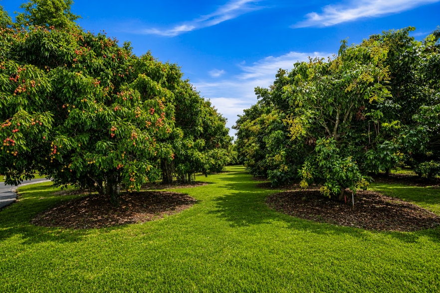 More Photos Of 19051 SW 147th Ave, Miami Land For Sale