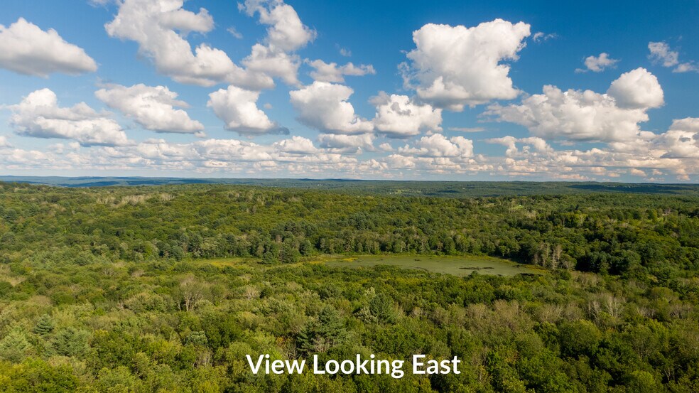 More Photos Of Thresher Rd, Hardwick Land For Sale