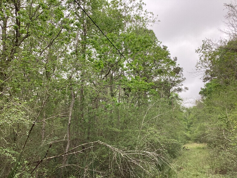 More Photos Of 0 County Road 4876, Dayton Land For Sale