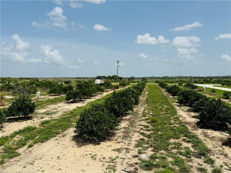 More Photos Of 1115 Basket Lake Rd, Avon Park Land For Sale