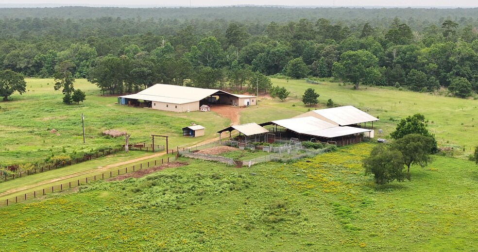 More Photos Of 44 Bucking Bull Rd, New Waverly Land For Sale