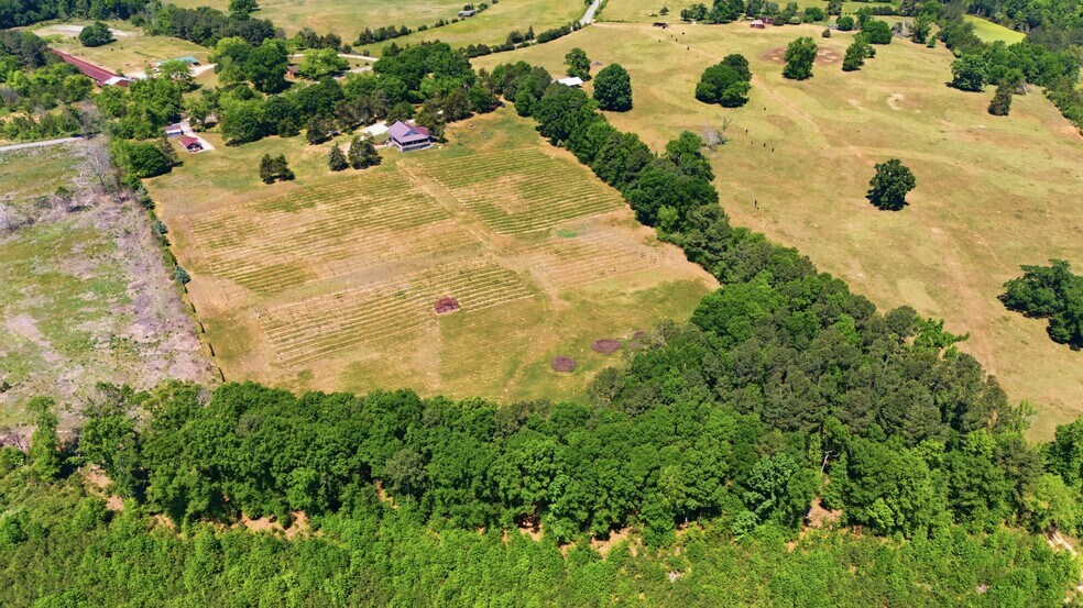 More Photos Of 1650 Dusty Rd, Newberry Winery Vineyard For Sale