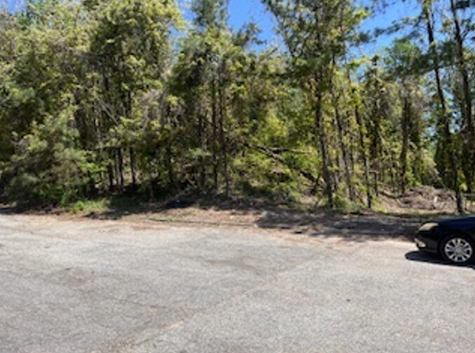 More Photos Of 4107 Danforth SW Rd, Atlanta Land For Sale