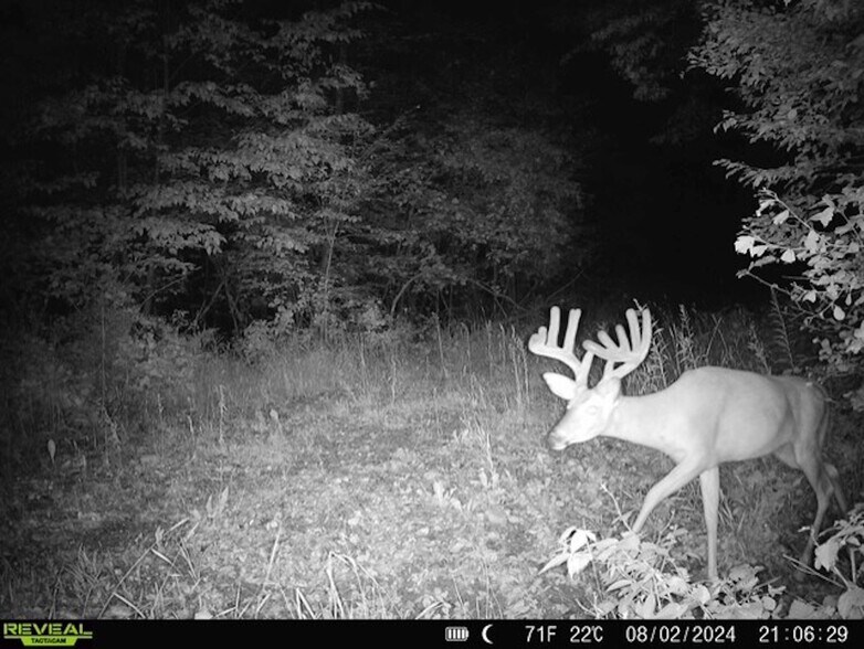 More Photos Of Fisher Road, Iola Land For Sale