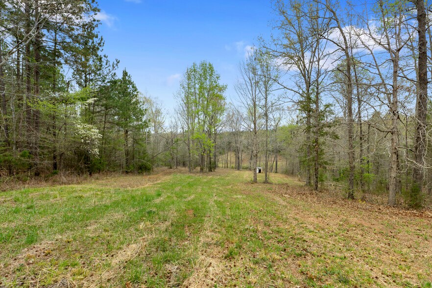 More Photos Of 2482 Old Douglass Rd, Winnsboro Land For Sale