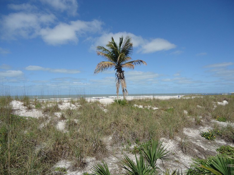 More Photos Of 5050 Gulf Blvd, Saint Petersburg General Retail For Lease