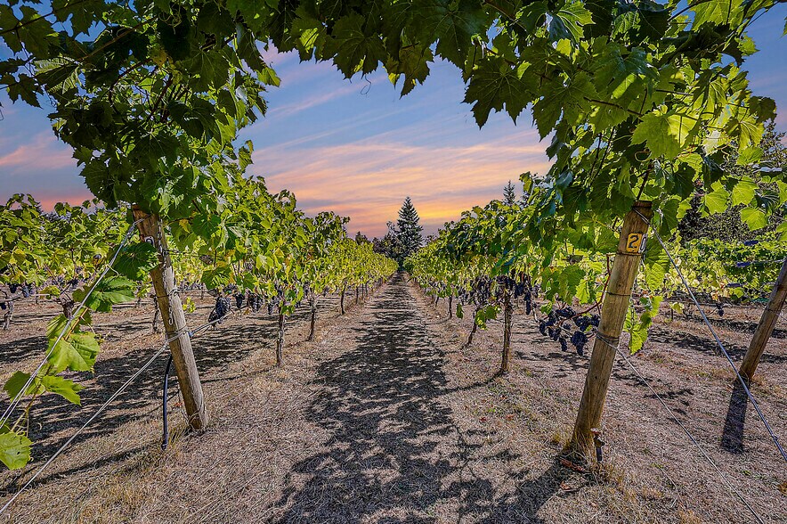 Primary Photo Of 1673 Woodland Dr, Port Townsend Winery Vineyard For Sale