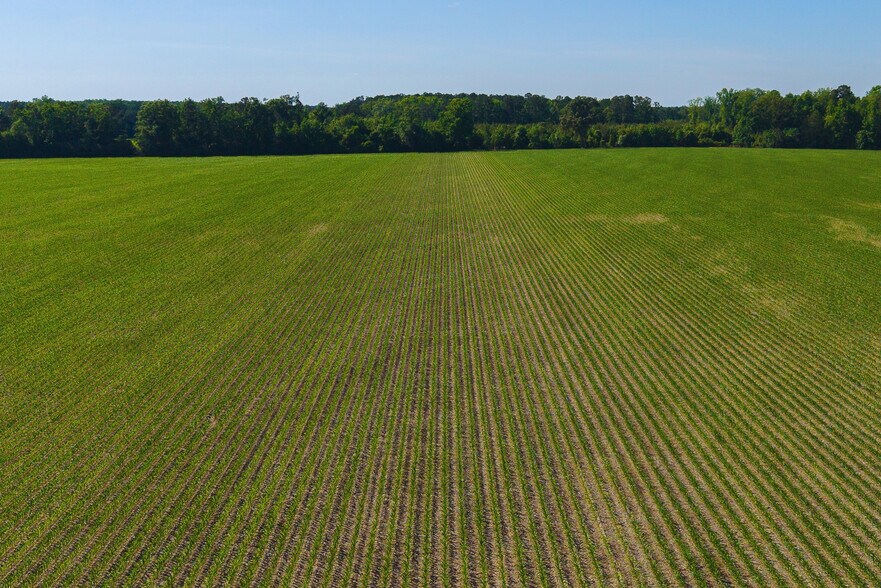 More Photos Of 0 155.9 ac Westberry Dr, Vance Land For Sale