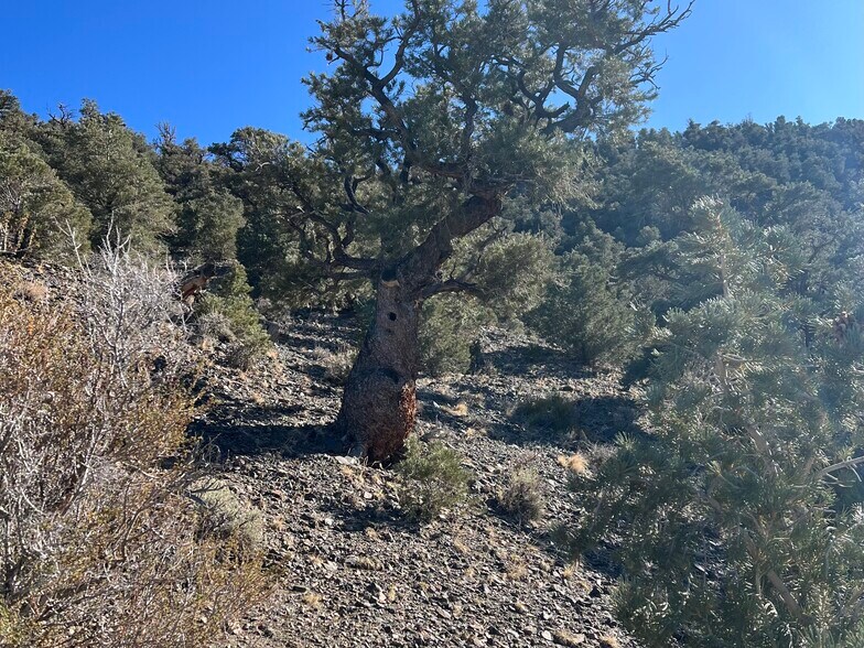 More Photos Of 0 Vacant Land APN 00665121, Hawthorne Land For Sale