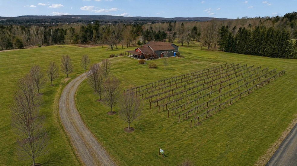 More Photos Of 8370 Lakeview Rd, Alanson Winery Vineyard For Sale
