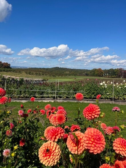 More Photos Of 280-300 Matson Hill Rd, South Glastonbury Land For Sale