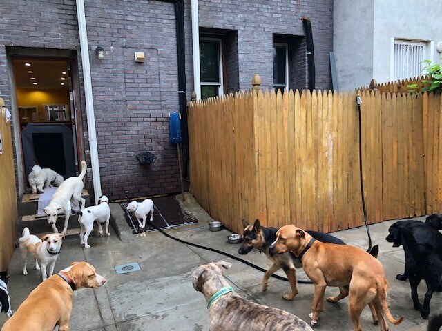 More Photos Of 438 Wilson Ave, Brooklyn Storefront Retail Residential For Lease