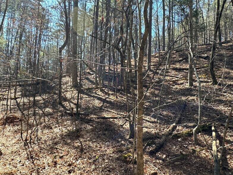 More Photos Of 3472 Prior Station Rd, Cedartown Land For Sale