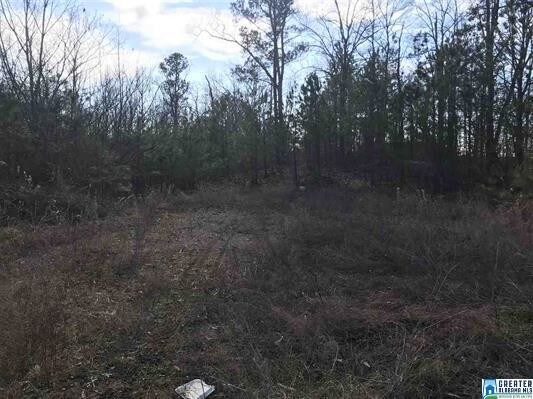More Photos Of 12970 Highway 25, Calera Land For Sale