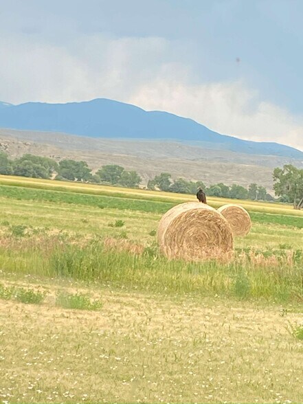 More Photos Of 157 Hergenrider Rd, Bridger Land For Sale