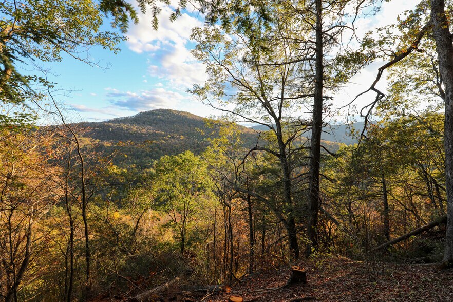 More Photos Of TBD NY-28, Phoenicia Land For Sale