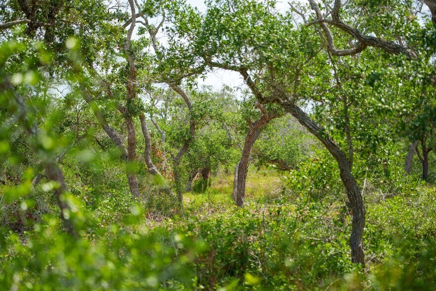 More Photos Of 704 South Highway 35 Byp, Rockport Land For Sale