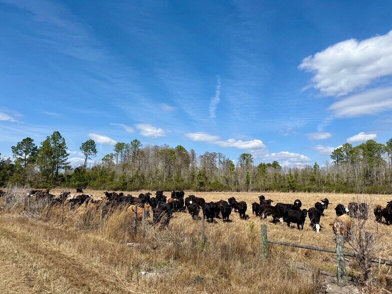 More Photos Of 4597 State 24 rd, Bronson Land For Sale