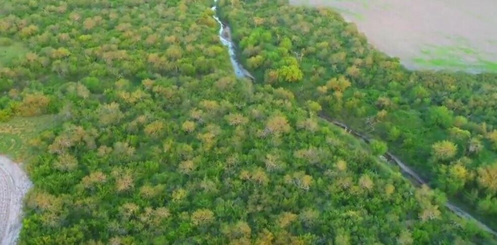 More Photos Of 0 CR 20, Petronila Land For Sale