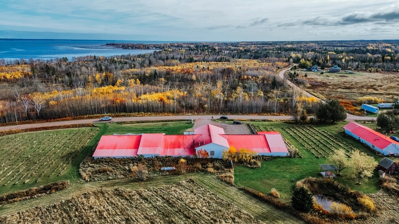 Primary Photo Of 851 Route 970, Baie Verte Winery Vineyard For Sale