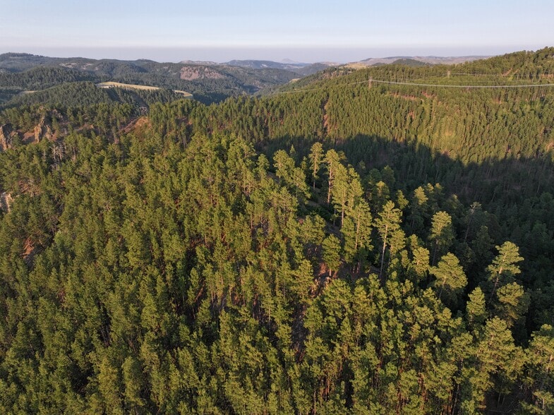 More Photos Of TBD Cutting Mine Rd., Lead Land For Sale