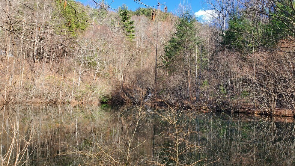 More Photos Of Mountain Cove Estates Rd, Cherry Log Land For Sale