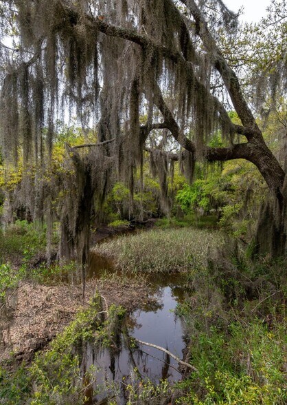 More Photos Of 1711 Salem Rd, Beaufort Land For Sale