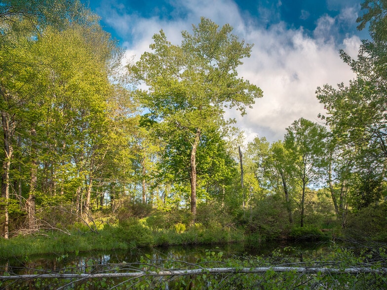More Photos Of 1 Snow Hill Rd, Parksville Land For Sale