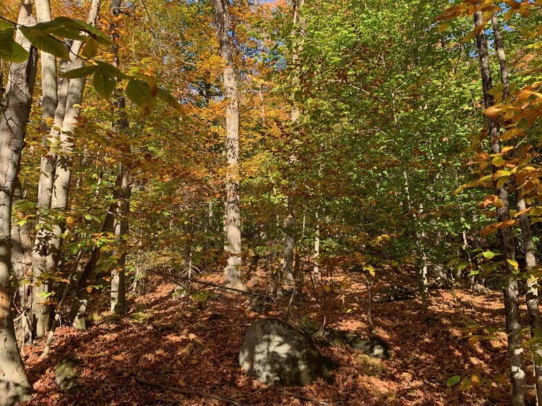 More Photos Of Ch Chemin du Lac-La Salle, Val-morin Land For Sale