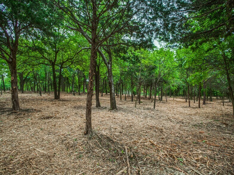 More Photos Of 9500 FM 455, Pilot Point Land For Sale