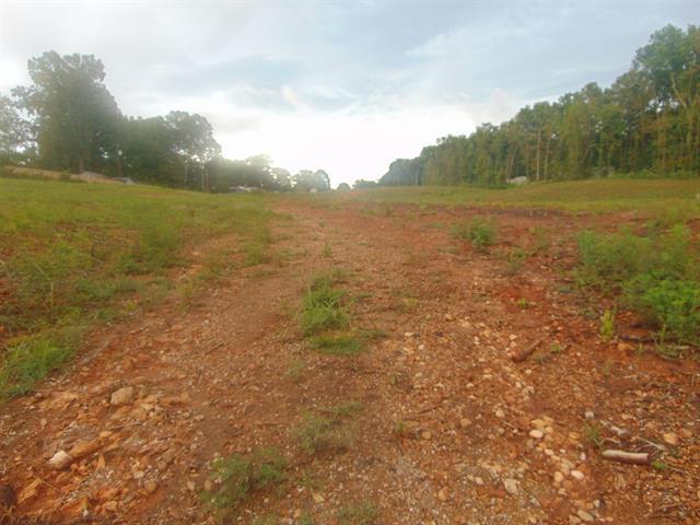 Primary Photo Of 0 CR 24, Florence Land For Sale