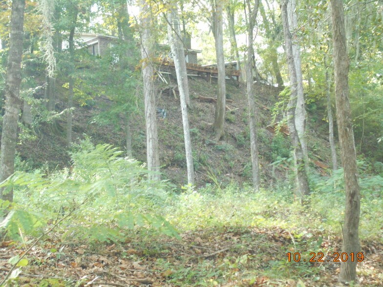 More Photos Of 282 Tuckasee King Rd, Clyo Land For Sale