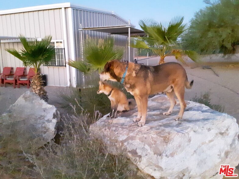 More Photos Of 9025 Camp Rock Rd, Lucerne Valley Veterinarian Kennel For Sale