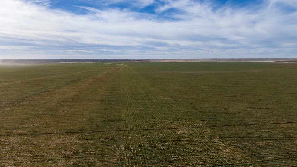 More Photos Of TBD CR 260, Morton Land For Sale