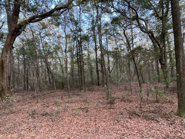 More Photos Of 4400 Garcon Point Road, Milton Land For Sale