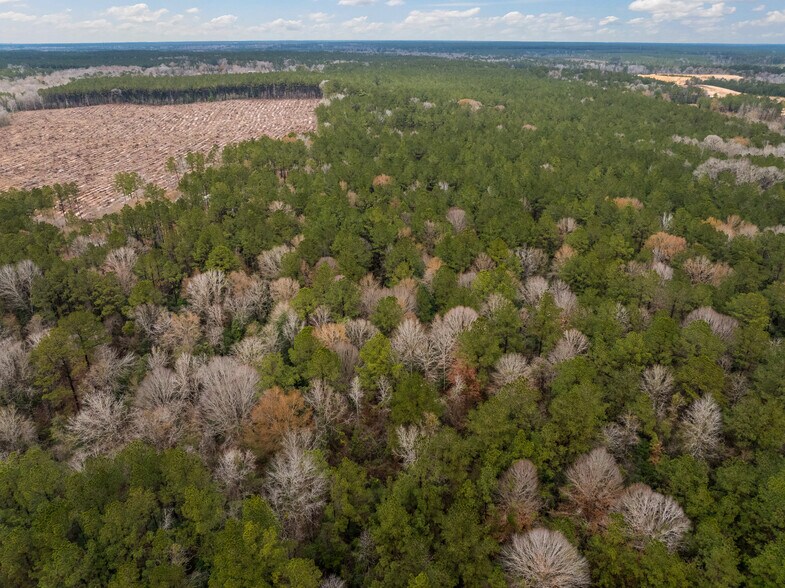 More Photos Of TBD 11 acres Tatoo Rd, Glenmora Land For Sale