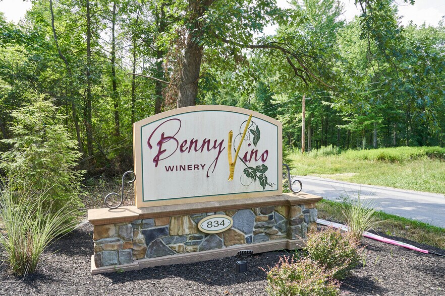 More Photos Of 834 Clyde Hill (South Countyline Rd), Geneva Winery Vineyard For Sale