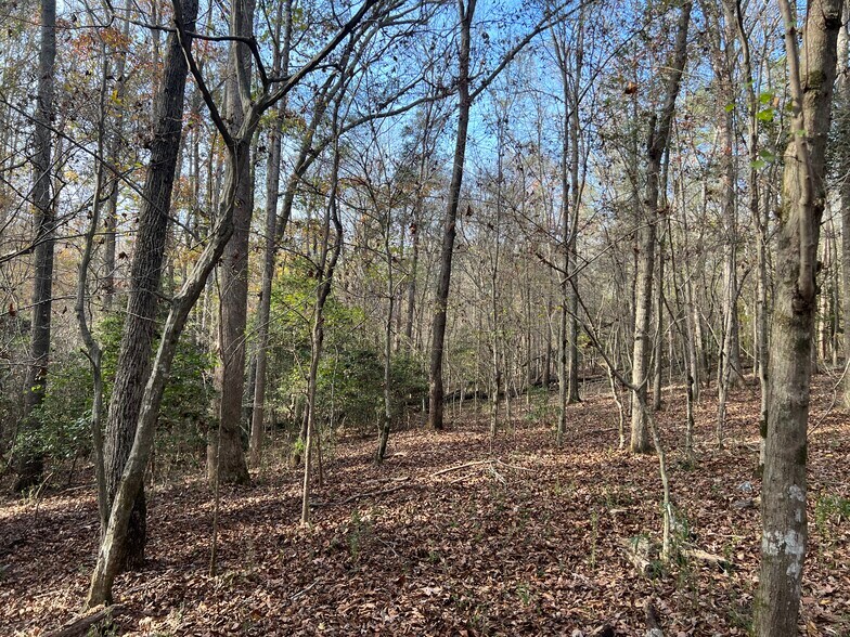 More Photos Of 0 Dickson Dr, Danielsville Land For Sale