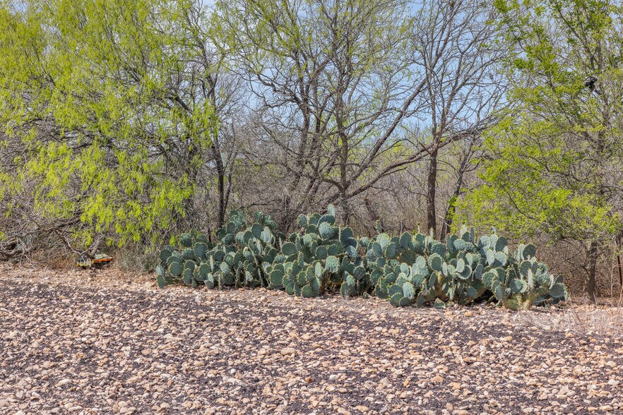 More Photos Of 5340 Dreibrodt St, San Marcos Land For Sale