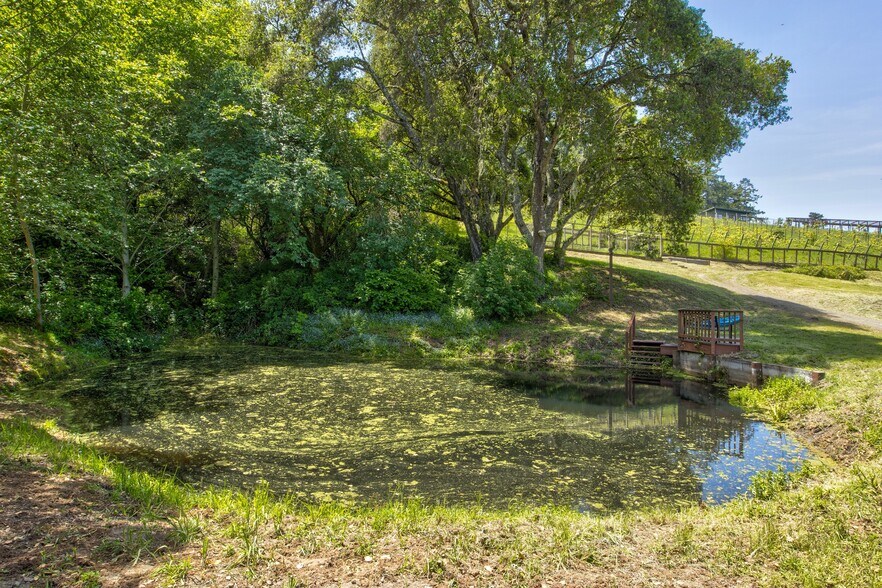 More Photos Of 5090 La Honda Rd, San Gregorio Land For Sale