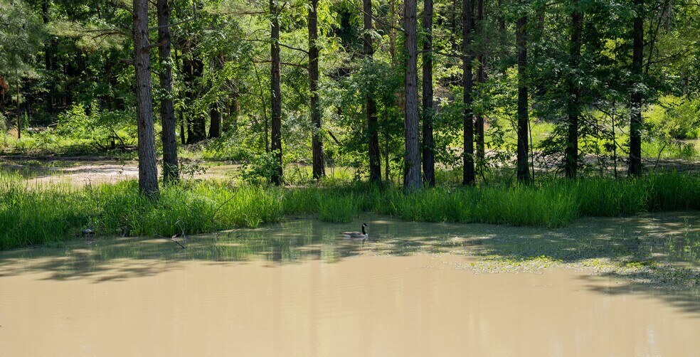 More Photos Of 17631 Farm Road 1159, Clarksville Land For Sale
