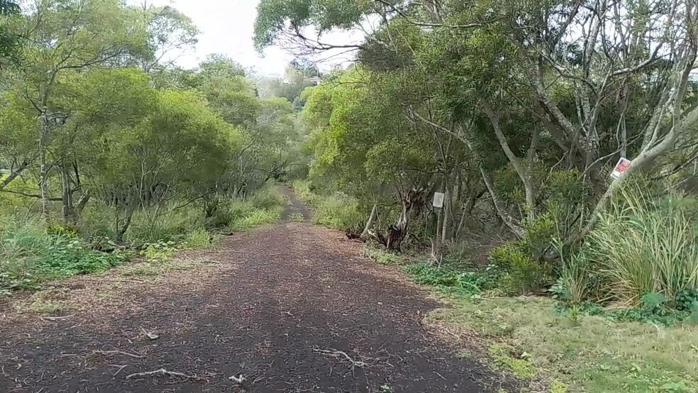 Primary Photo Of 99-1757 Welelau, Aiea Land For Sale