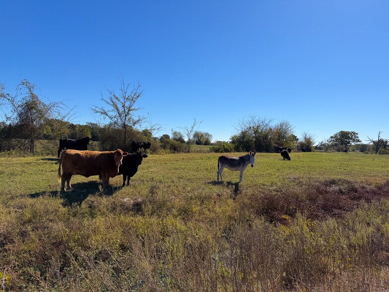 More Photos Of 1658 TX-75, Huntsville Land For Sale