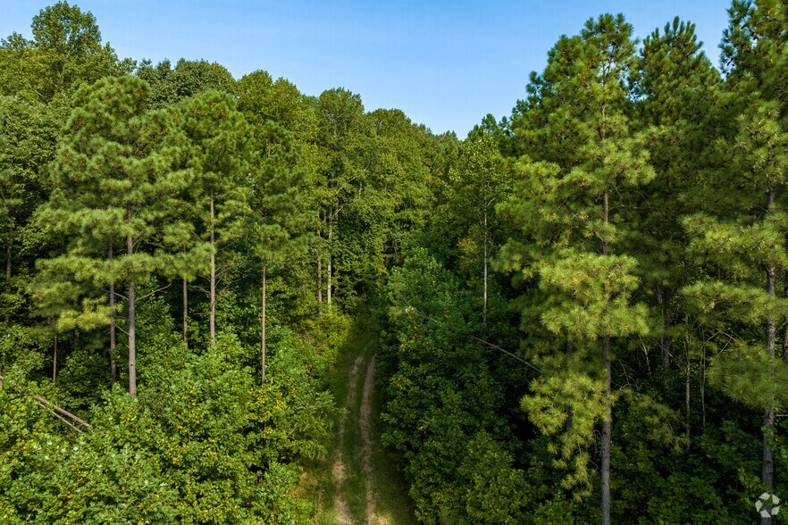 More Photos Of 44855 Hwy 740, New London Land For Sale