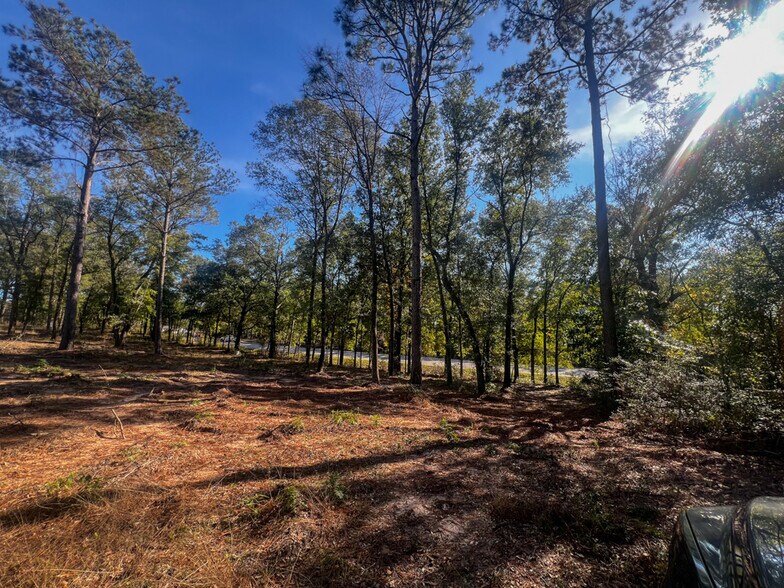 More Photos Of 0 Highway 198, Lucedale Land For Sale
