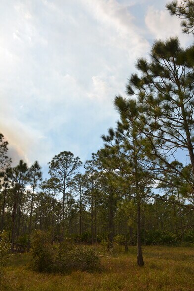 More Photos Of 8425 SW Martin Hwy, Palm City Land For Sale