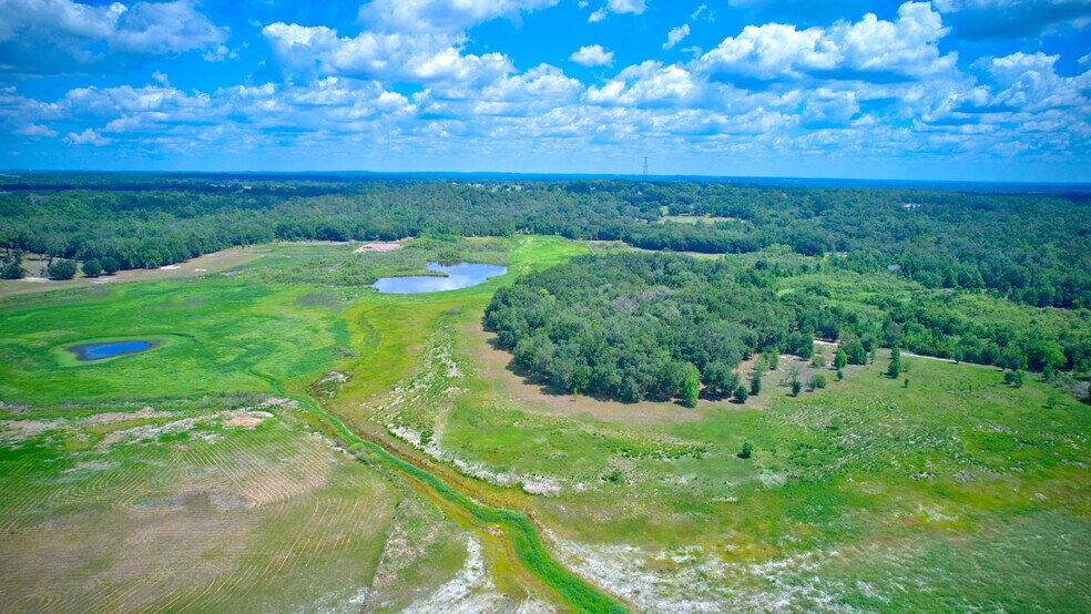 More Photos Of 3267 Neff Lake Rd, Brooksville Land For Sale