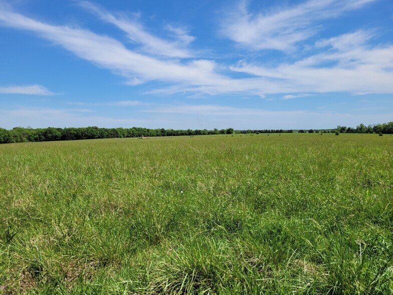 More Photos Of 110 Private Road 7316, Clarksville Land For Sale