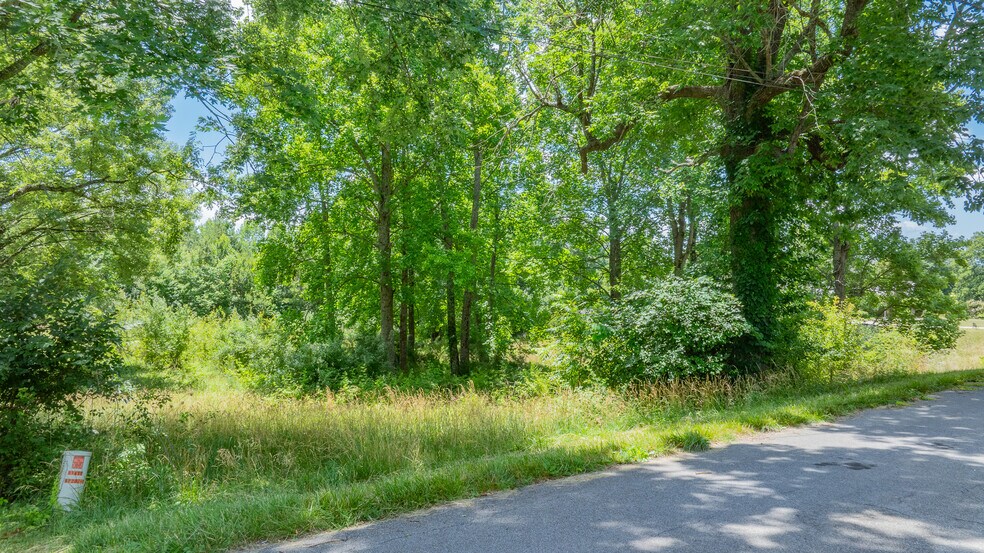 More Photos Of 199 Stuffle St, Kingsport Land For Sale