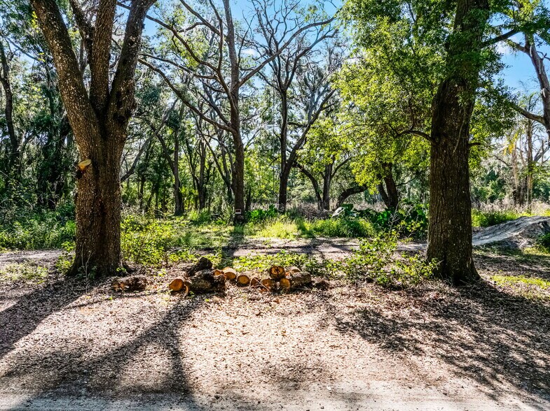 More Photos Of 3633 Panther Path Rd, Lutz Land For Sale